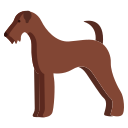 airedale terrier