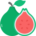 Guava