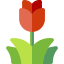 tulipas