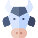 vache