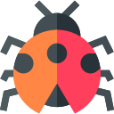 coccinella