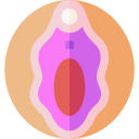 vulva