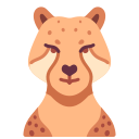 gepard