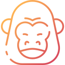 gorilla