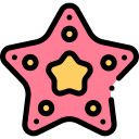 estrelas do mar