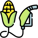 Corn