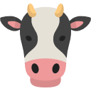 vache