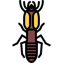 termite