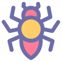 spinne