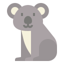 koala