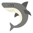 requin