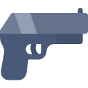 Gun