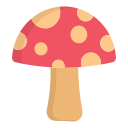 champignon