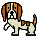 basset