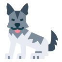 syberyjski husky