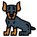 Doberman