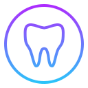 dentysta