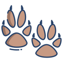 Paw