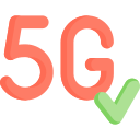 5 g