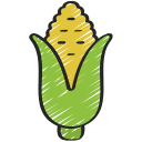 Corn