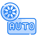 auto