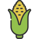 Corn