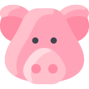 schwein