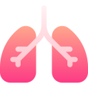 Lungs