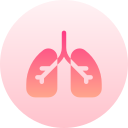 Lungs