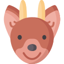 pudu