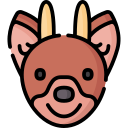 pudu