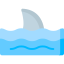 Shark