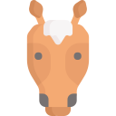 cavallo