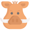 cinghiale