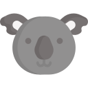 koala