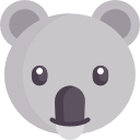 koala