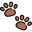 Pawprints