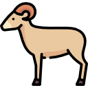 ram