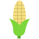 Corn