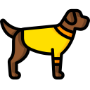 cão