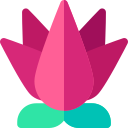 lotus