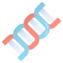 Dna