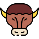 Bison