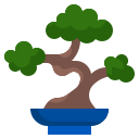 bonsai