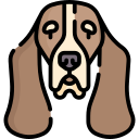 basset