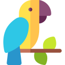 Macaw