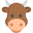 vaca