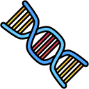 struttura del dna