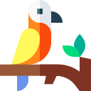 Parrot