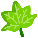 Maple leaf